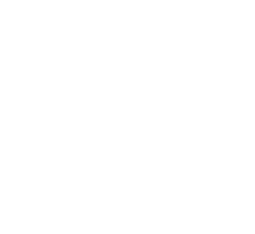 Chicago Dance Crash logo